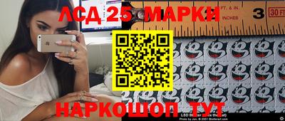 стаф Краснодар