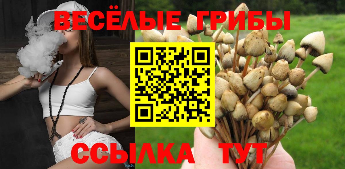 Галлюциногенные грибы Psilocybine cubensis Киров