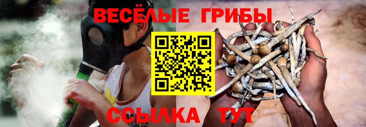 Киров  Галлюциногенные грибы Psilocybine cubensis  Вход с VPN 